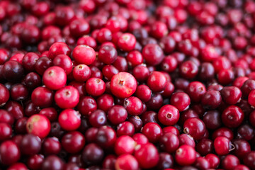 Ripe fresh cranberries as natural, food, berries background	