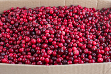 Ripe fresh cranberries as natural, food, berries background	