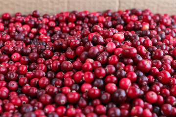 Ripe fresh cranberries as natural, food, berries background	
