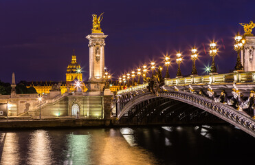Fototapeta na wymiar Alexander III Bridge in Paris at night