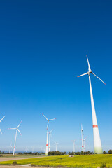 Fototapeta premium Windpark mit mehreren Windrädern