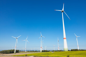 Fototapeta premium Windpark mit mehreren Windrädern