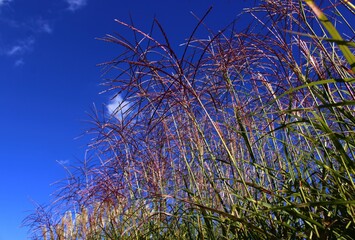 Polska w obiektywie © Marta