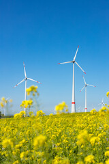 Windkraftanlage vor einem Rapsfeld