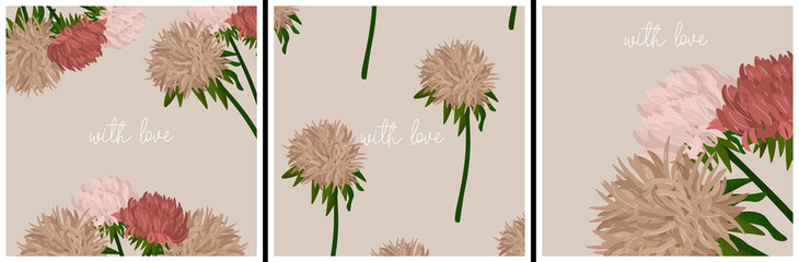 Set of vector greeting cards with flat garden asters. Dusty pink asters in cartoon style. Beautiful asters for the design of cards, posters, invitations. Botanical vector illustration. Card for woman.