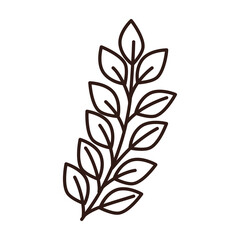 Isolated leaf design of Natural floral nature and plant theme Vector illustration