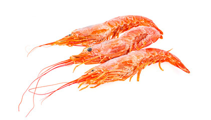 langoustines argentine frozen isolated on white background. Photo