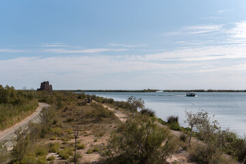 Fototapeta na wymiar Boat Tour on the Ebro River in summer in the port