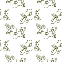 dog-rose flowers on white background seamless pattern