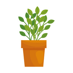 Plant inside pot design of Floral nature garden ornament botany decoration beauty and flora theme Vector illustration