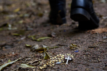 A rosary thrown on the ground, the concept of lose faith.