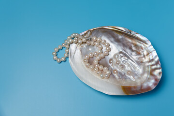 Pearl necklace natural oyster copy space blue background.