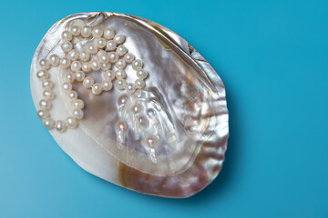 Natural pearls mother of pearl shell oyster close-up 
blue background.