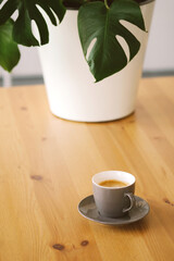 A gray cup with espresso coffee stands on a wooden table against the background of a monstera plant. Monstera delicius or Swiss cheese plant in the interior of a coffee shop.