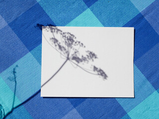 White empty blank card mockup with floral shadows.