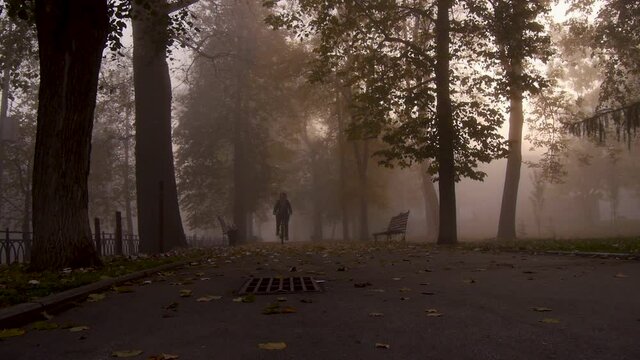 A woman rides a bicycle through the mist in an autumn city park. Yellow autumn leaves.