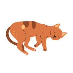 Cute sleeping orange cat, hand drawn vector illustration in cartoon style, isolated on white background.