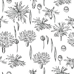 Seamless pattern with floral ornament. Endless texture for season design