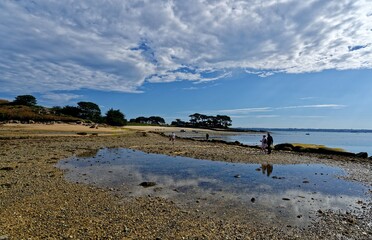 Paysage de l'île Callot, Carantec, Finistère, Bretagne, France