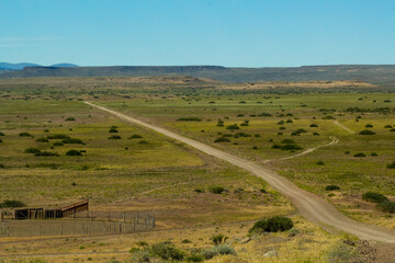 Un largo camino patag&oacute;nico
