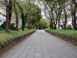日本の神社の風景　氷川神社の参道　埼玉県さいたま市
