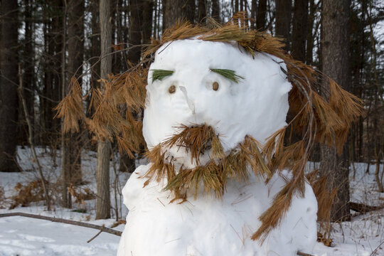 Snowman, Commerce Twp, Michigan