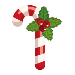 merry christmas candy with berries design, winter season and decoration theme Vector illustration