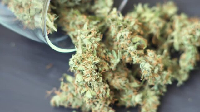 marijuana on the table. A can of cannabis buds Concept of cooking with cannabis herb. Treatment of medical marijuana for use in food