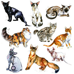 cute cats watercolor collection solated on white background