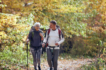 An elderly couple hiking on a beautiful day
