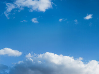 Amazing sky with some birds flying