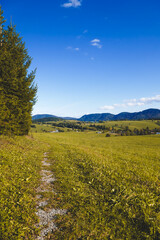Fototapeta na wymiar Beautiful mountainous autumn or summer landscape in Austria.