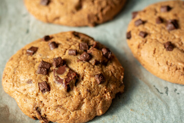 Homemade cookies on cooling tray. Cookies with chocolate on dark wooden background. Homemade Chocolate chip cookies.