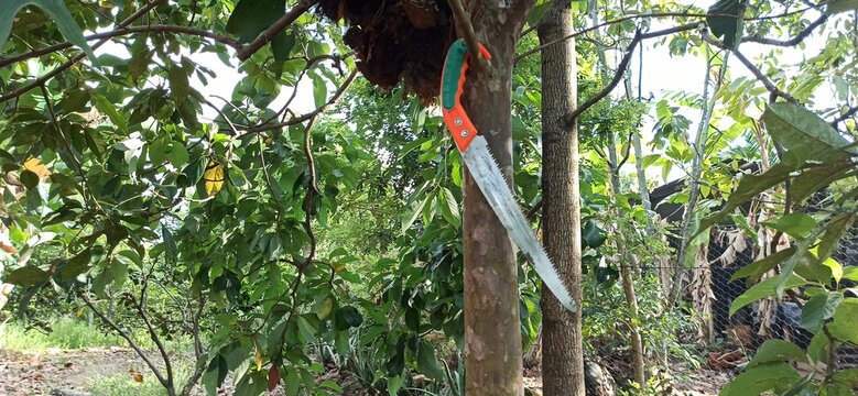 Herramienta para podar arboles