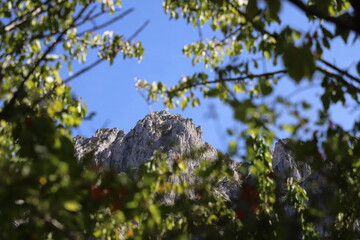 Castilla y León. León. Picos de Europa. Las Salas