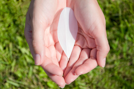 Woman Holding A White Feather In Cupped Hands