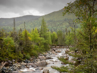 A rainy day in the trail of the Gaspesie National Park in Quebec, Canada. Hiking through the mist and rainy clouds,