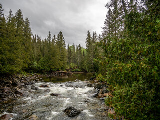 A rainy day in the trail of the Gaspesie National Park in Quebec, Canada. Hiking through the mist and rainy clouds,