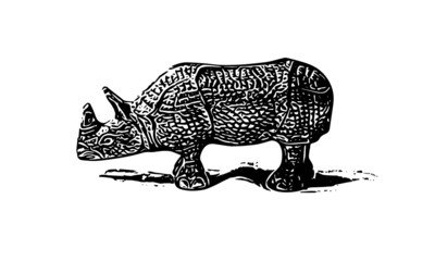 rhino on white