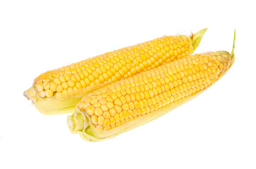 Two cobs of ripe fresh yellow corn on white background