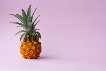 Organic yellow pineapple on pink background, tasty product, exotic fruit, copy space