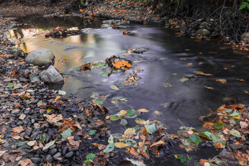 Autumn and view of the stream