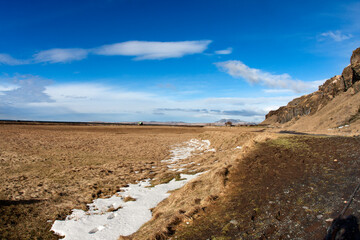 meadow in iceland