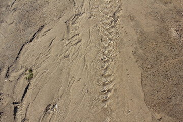 Obraz na płótnie Canvas Texture water streak on sand the beach - South Sea of Korea