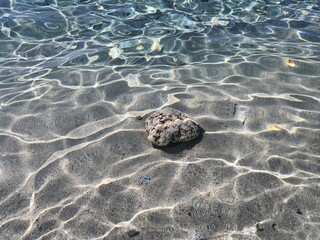 clear and transparent
