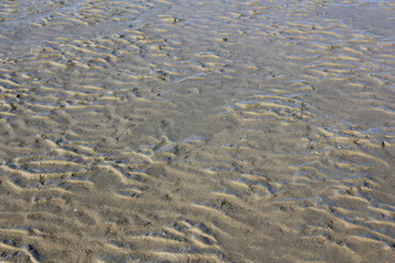 Structures in the sand in back-lighting