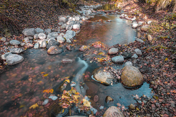 Autumn and view of the stream