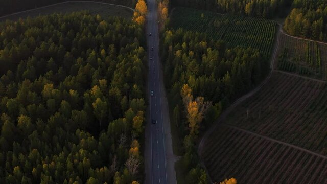 The car goes on a country road along the forest. Beautiful landscape from a height, autumn forest