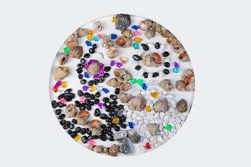 Bright background of their colored stones and seashells.