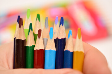 sharpened colored pencils in the hands of a man.